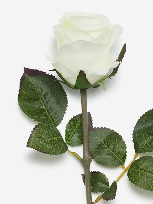 Westside Home White Artificial Rose Flower