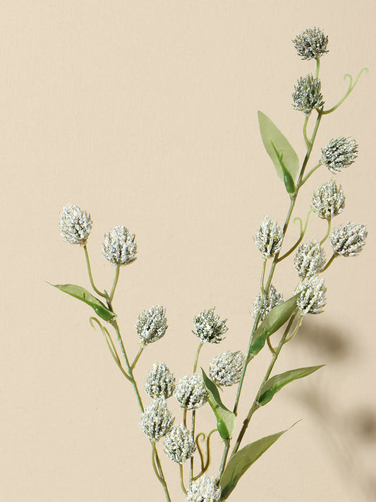 Westside Home White Amaranth Flowers