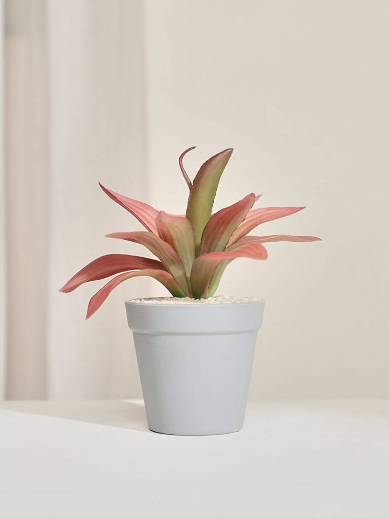 Westside Home Triostar Decorative Plant