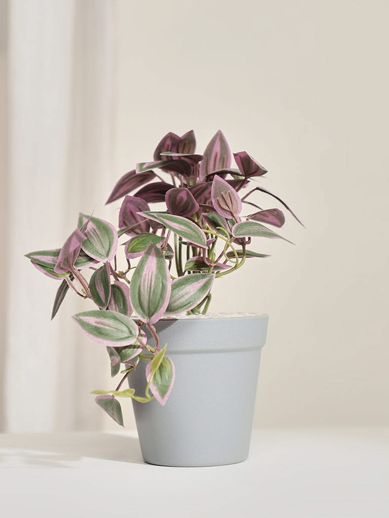 Westside Home Zebriana Decorative Plant