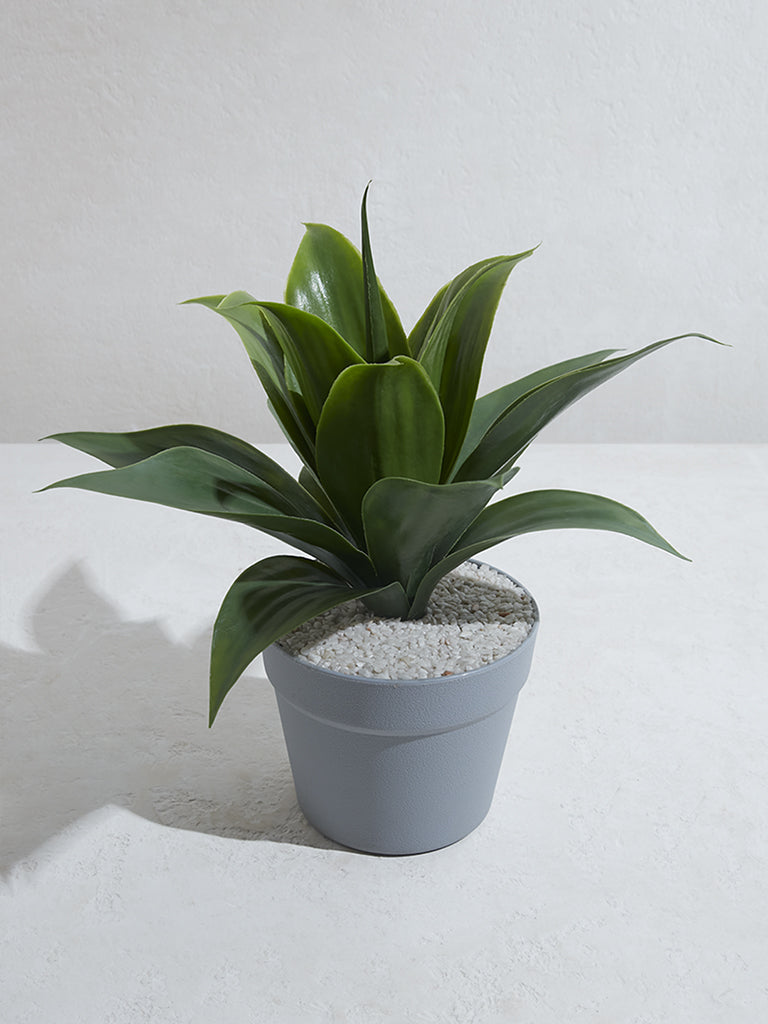 Westside Home Green Artificial Baby Sansveria Plant