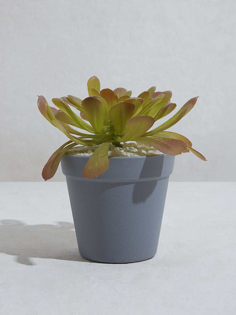 Westside Home Rust Artificial Succulent Plant