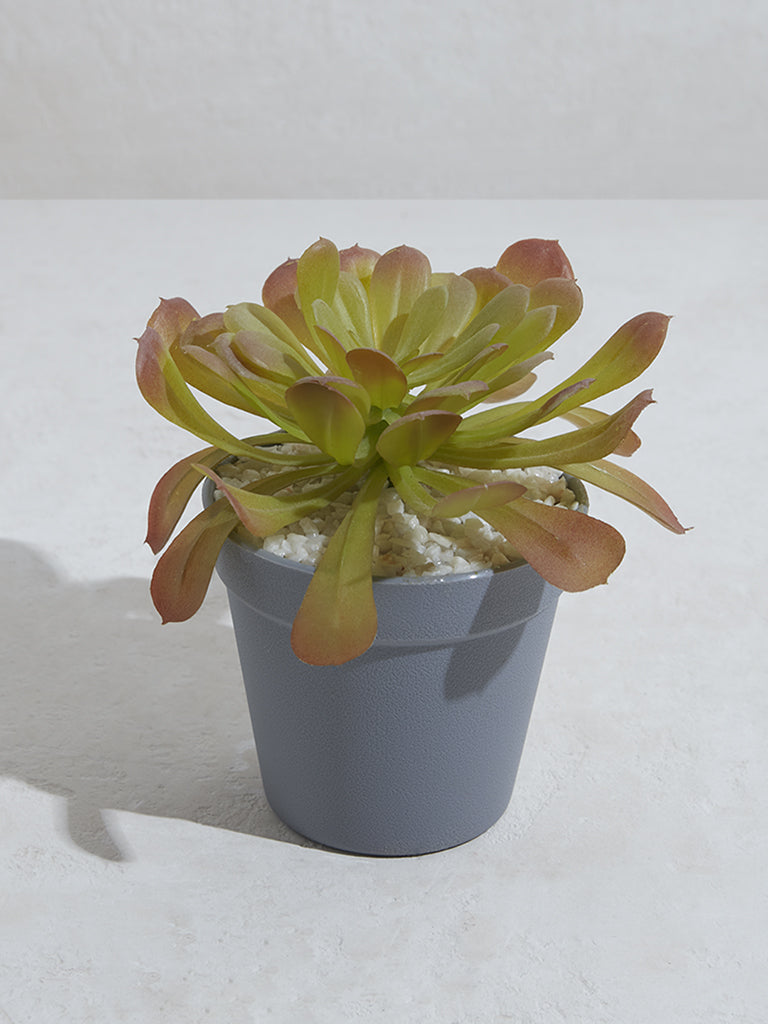 Westside Home Rust Artificial Succulent Plant