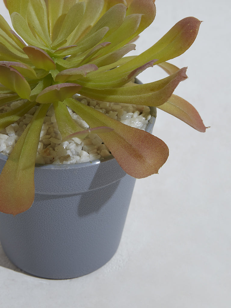 Westside Home Rust Artificial Succulent Plant