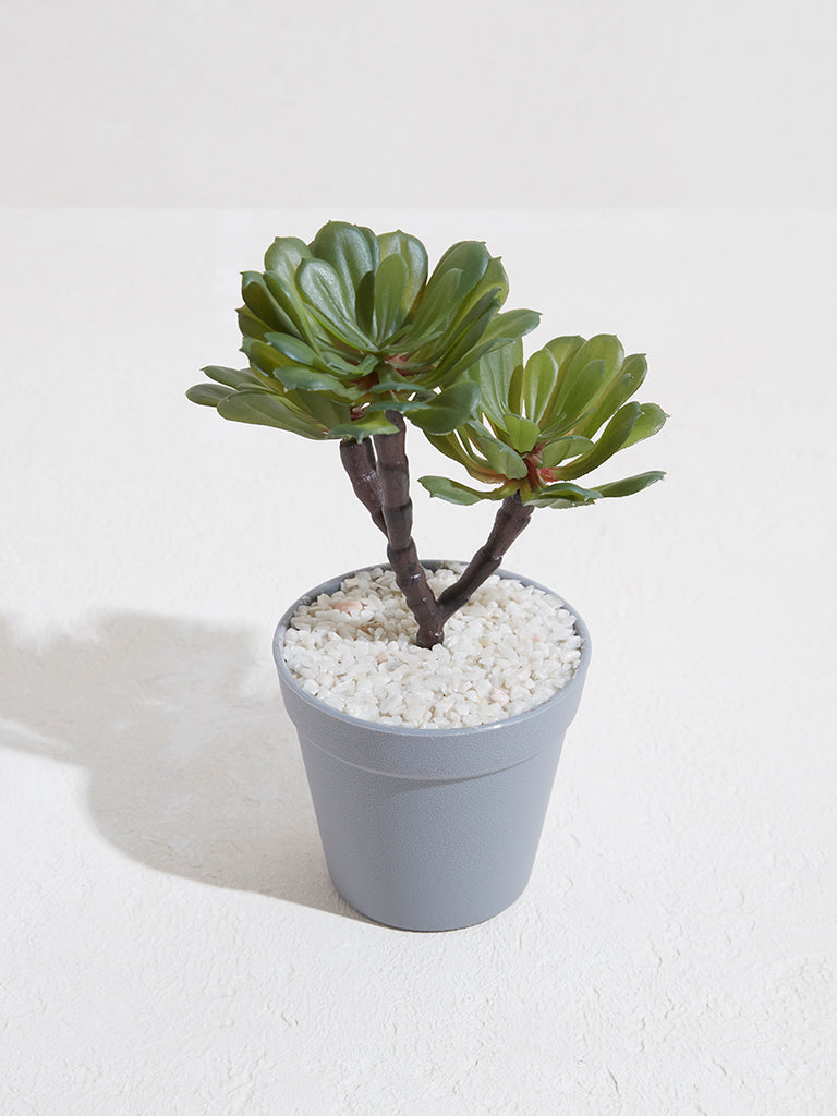 Westside Home Green Trio Artificial Succulent